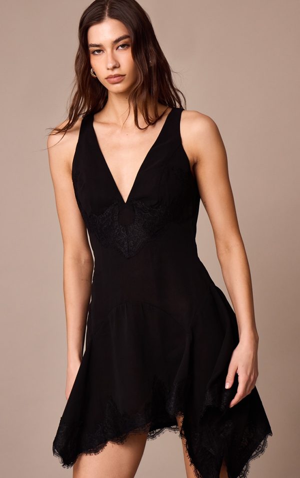 Black Chiffon Sheer Lace Trim Plunge Bodycon Dress