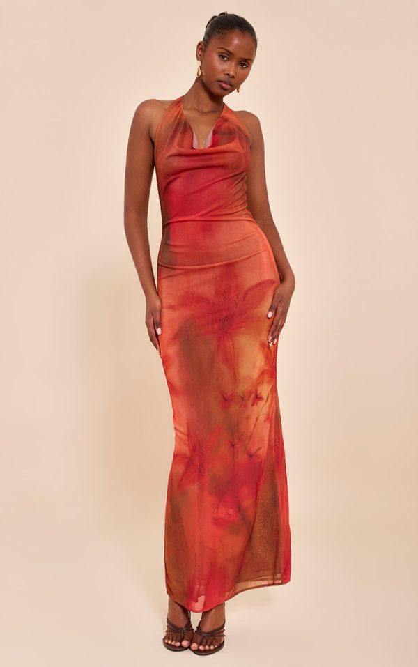 Red Floral Print Halter Neck Plunge Maxi Dress