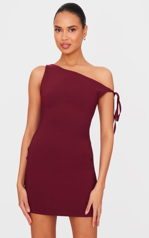 Burgundy Stretch Woven Asymmetric Tie Shoulder Mini Dress