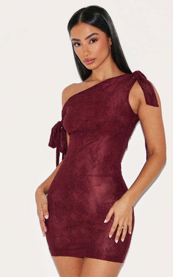 Petite Burgundy Lace Tie Detail Bodycon Mini Dress
