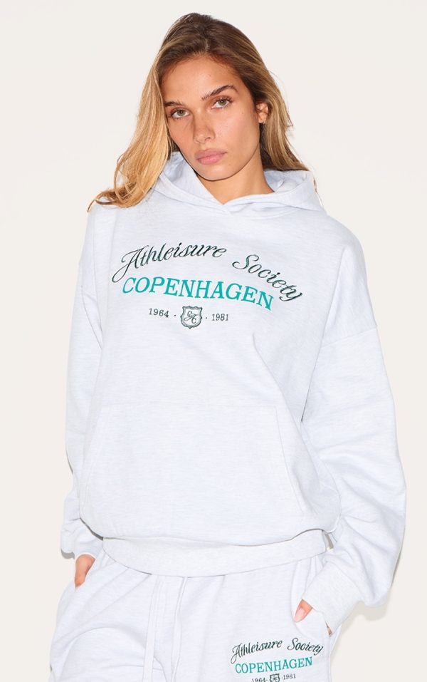 Ash Grey Premium New York Embroidered Hoodie