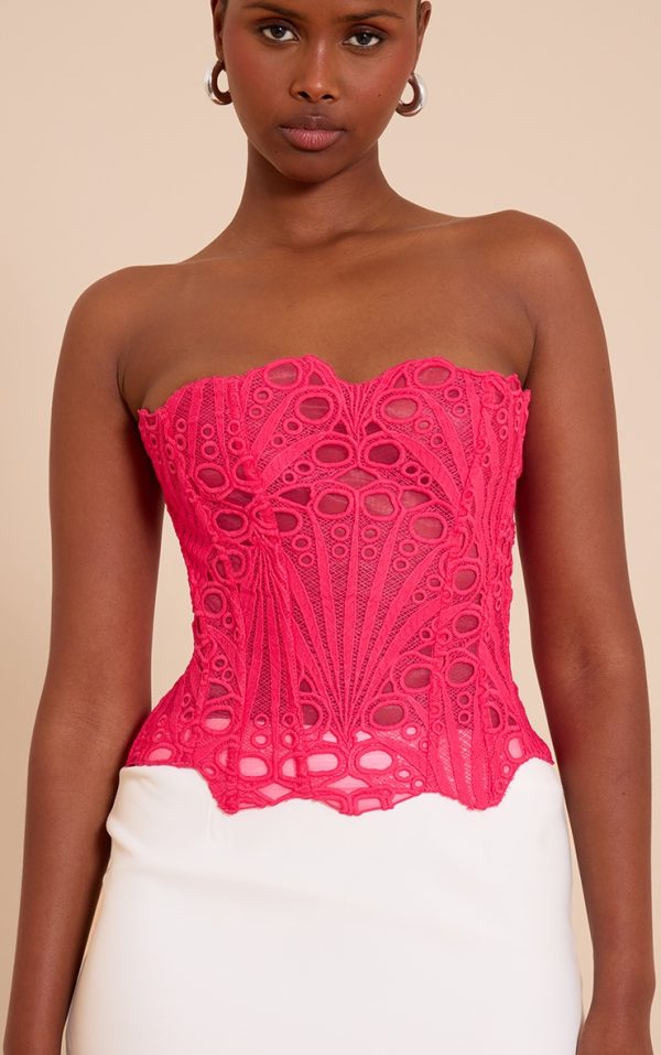 Fuchsia Textured Sheer Floral Lace Corset