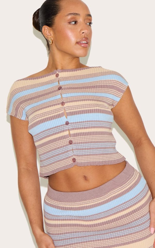 Shape Powder Blue Knitted Striped Button Front Boat Neck Top