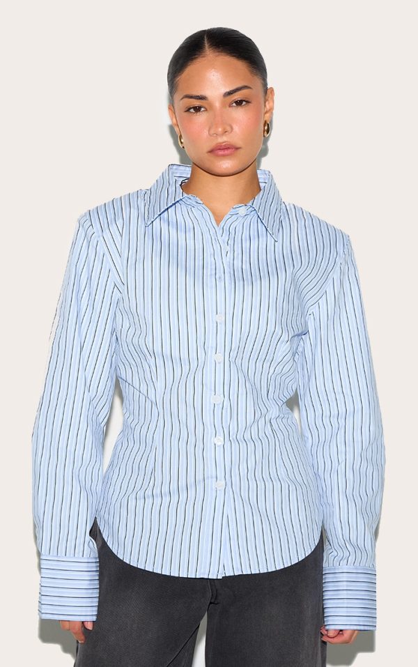 Petite Blue And White Fitted Pinstripe Shirt