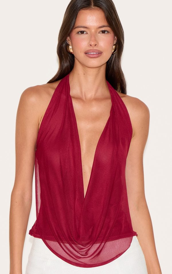 Deep Red Mesh Halter Neck Top