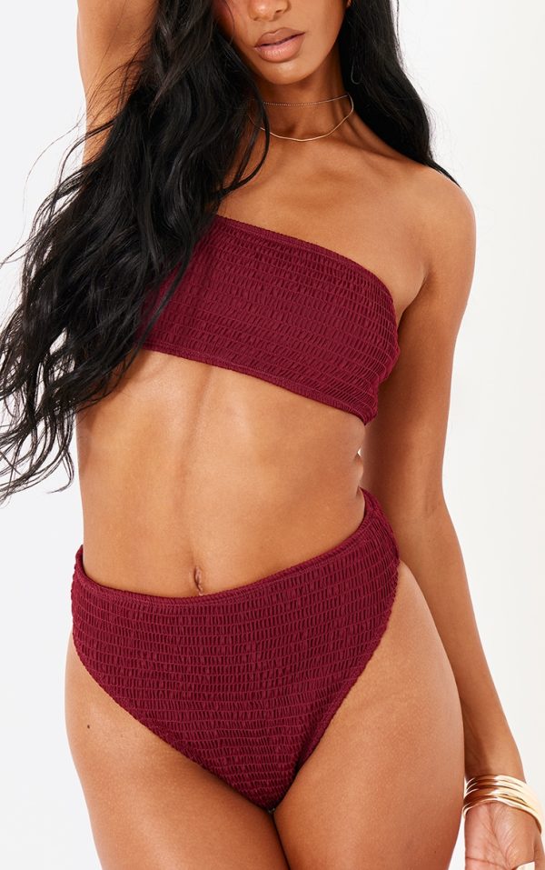 Burgundy Shirred High Waist Bikini Bottoms