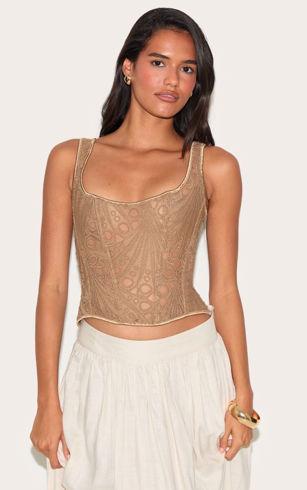 Brown Textured Sheer Floral Square Neck Corset