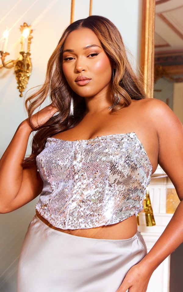 Plus Silver Sequin Hook And Eye Corset