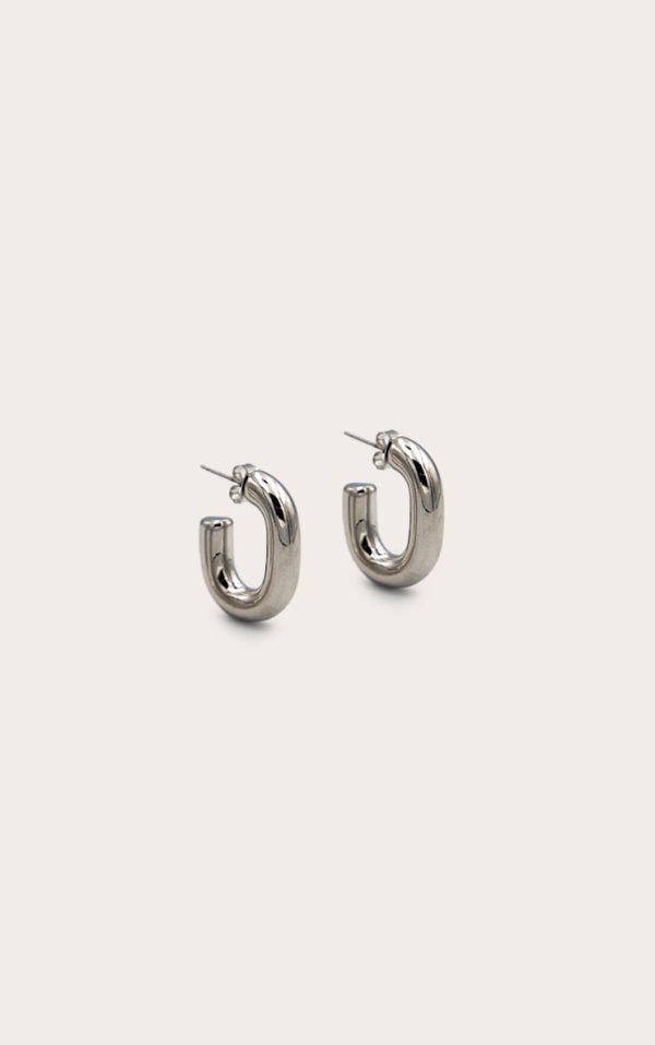Silver Hoop Chubby Earrings