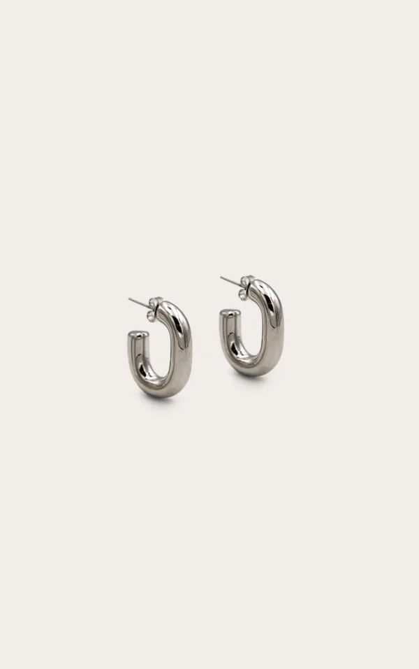 Silver Hoop Chubby Earrings
