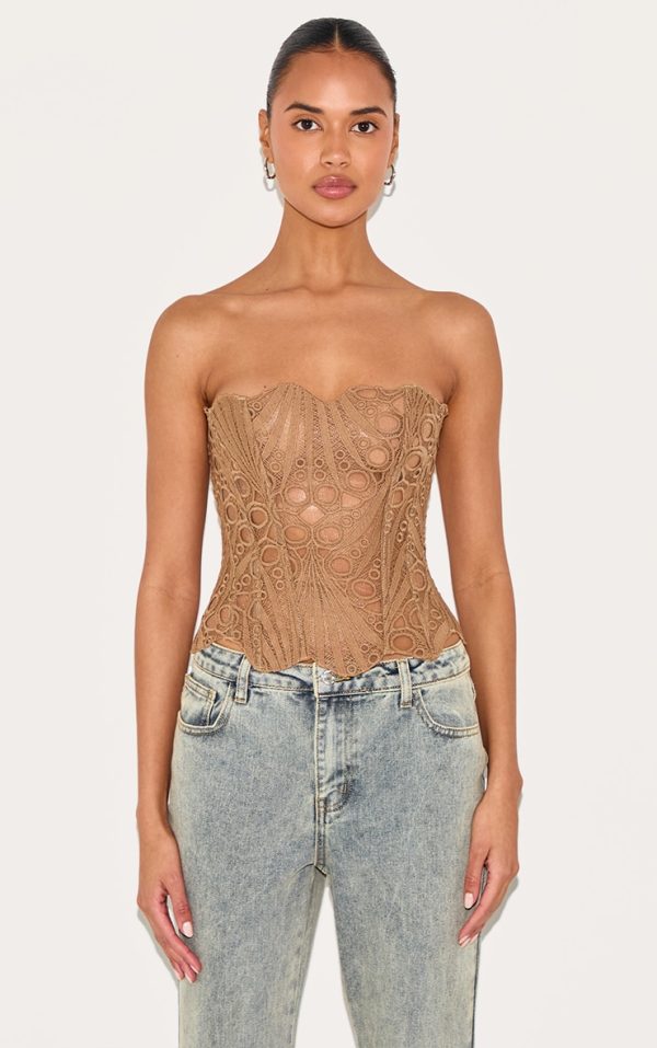 Brown Textured Sheer Floral Lace Corset