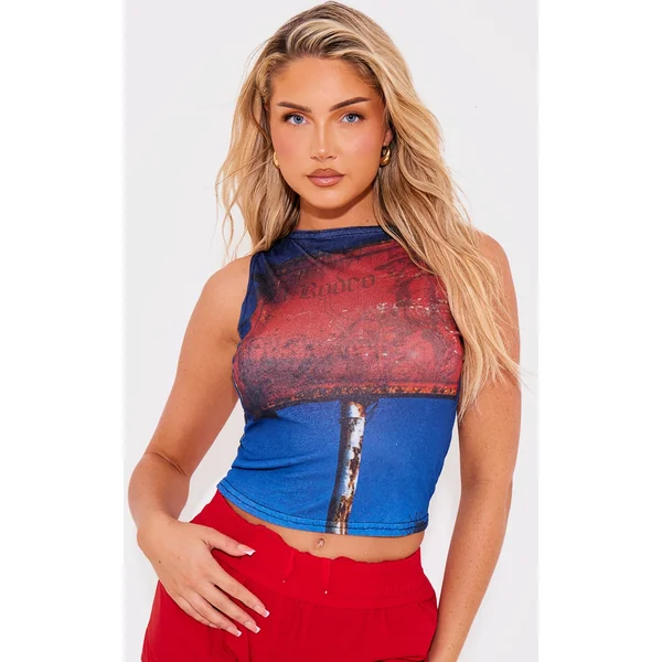 Blue Burnout Mesh Printed Boatneck Top