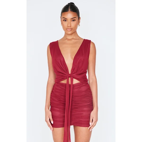 Burgundy Mesh Plunge Knot Detail Mini Dress