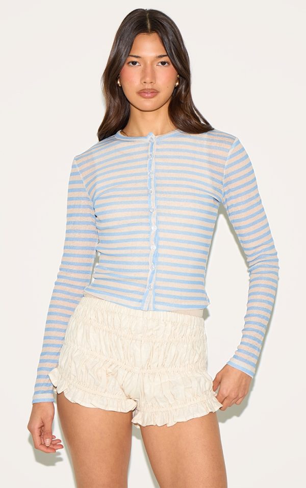 Sky Blue Striped Sheer Button Up Top