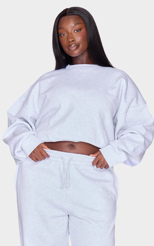 Plus Grey Premium Basic Crew Neck Cropped Sweatshirt