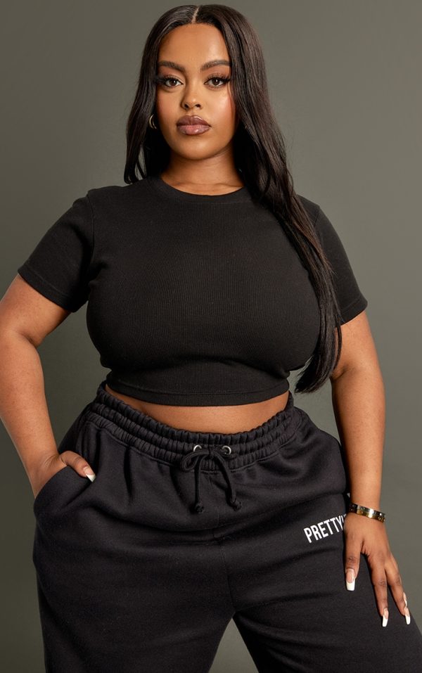 Plus Black Basic Rib Short Sleeve Crop Top