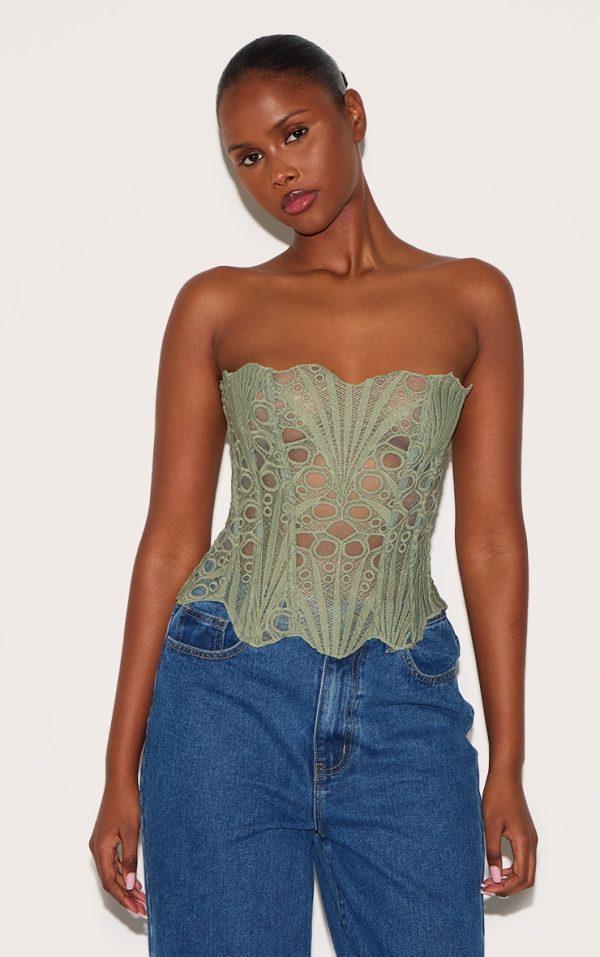 Sage Textured Sheer Floral Lace Corset