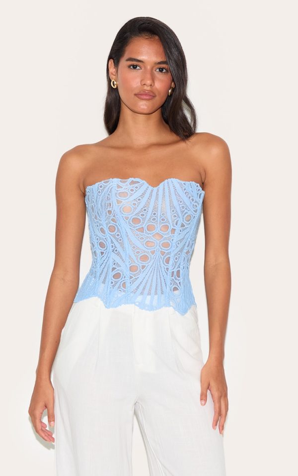 Sky Blue Textured Sheer Floral Lace Corset