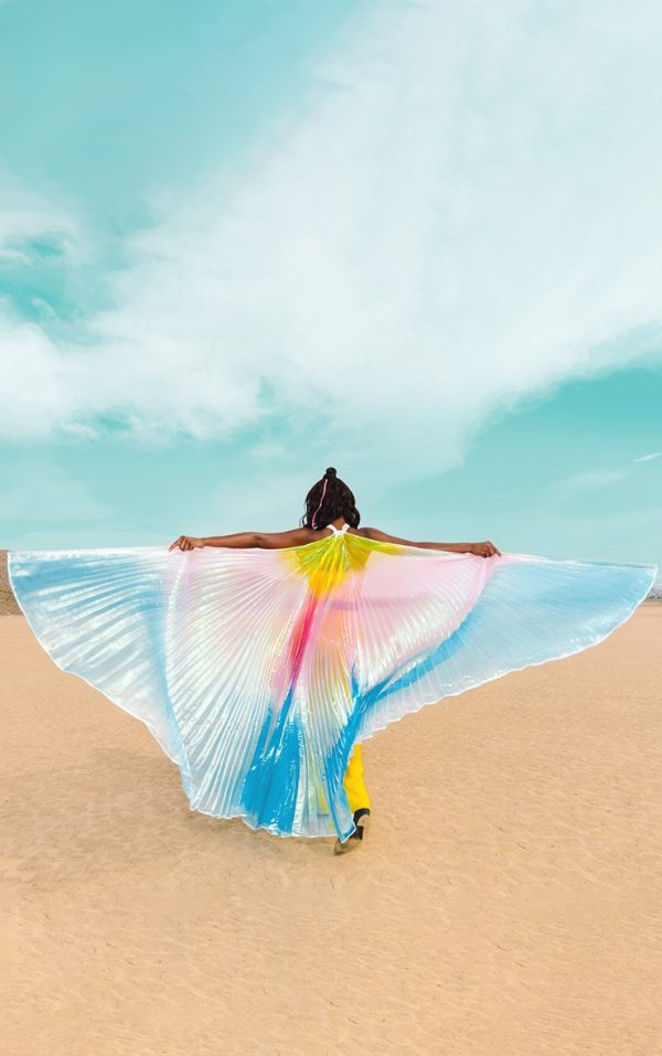 Rainbow Metallic Wings