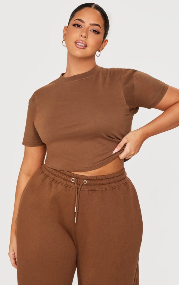 PRETTYLITTLETHING Plus Taupe Embroidered Rib Panel T Shirt