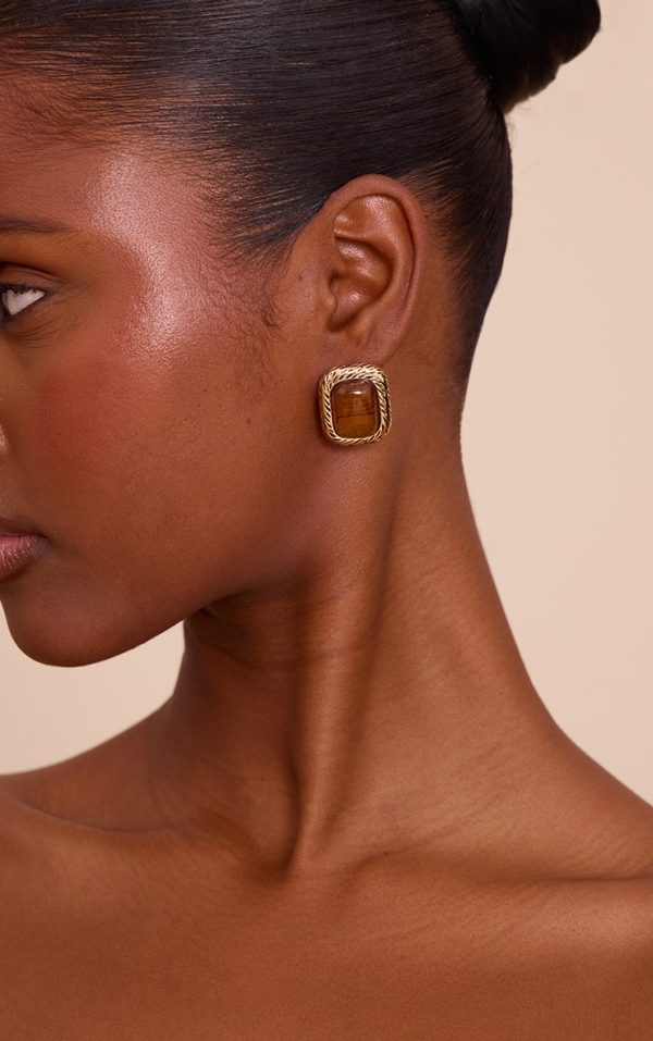 Brown Tigerseye Resin Stud Earrings