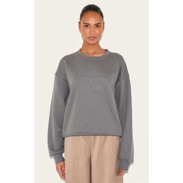 Grey Embroidered Boxy Sweatshirt
