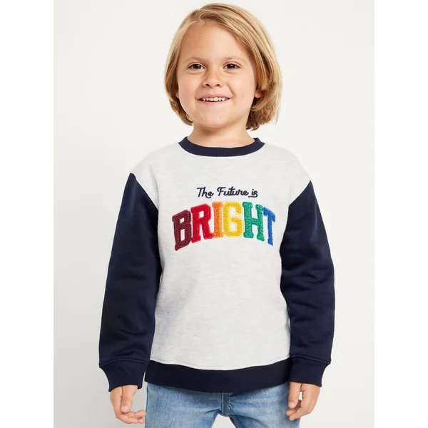 Oversized Crew-Neck Embroidered Sweatshirt for Toddler Boys - Medium Heather Gray