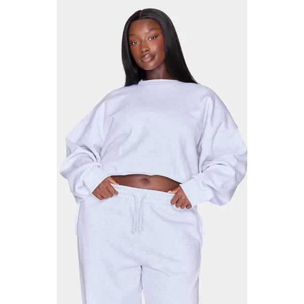 Plus Grey Premium Basic Crew Neck Cropped Sweatshirt