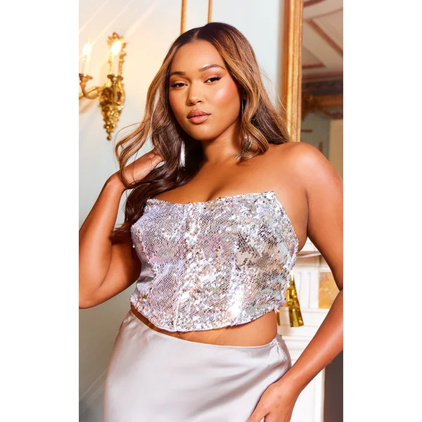 Plus Silver Sequin Hook And Eye Corset