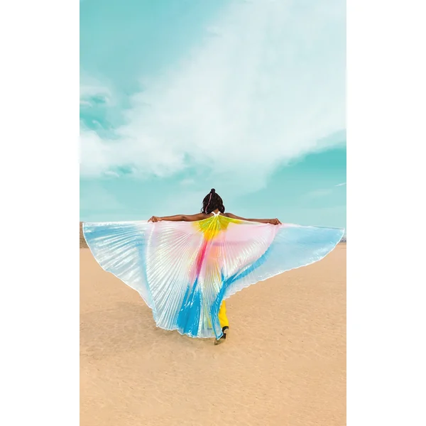 Rainbow Metallic Wings