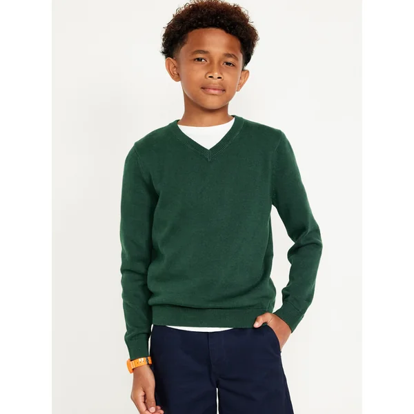 School Uniform Solid V-Neck Sweater for Boys - Plant Life