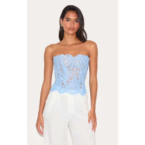 Sky Blue Textured Sheer Floral Lace Corset