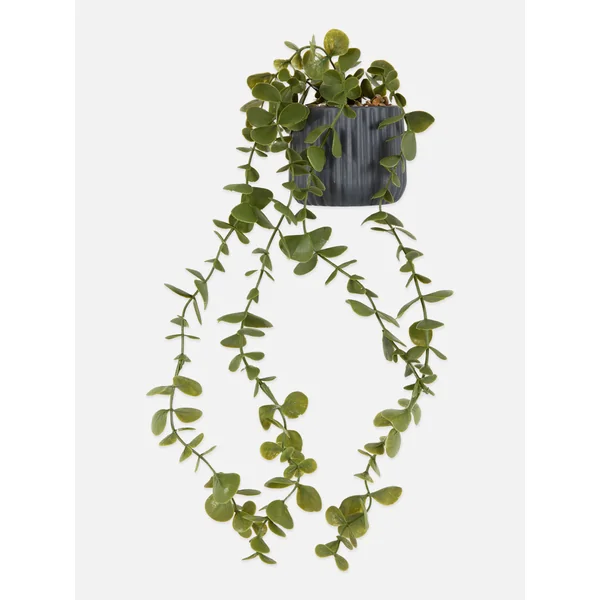 Small Faux Draping Eucalyptus - Black