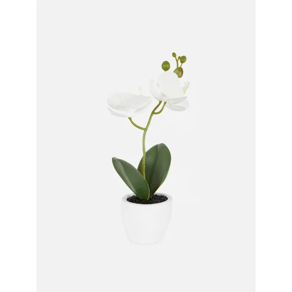 Small Potted Faux Orchid - White